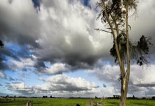 NBA在线直播JRS无插件直播好用吗？有哪些特点和注意事项？